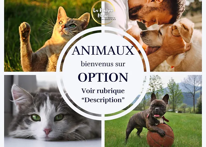 Daire La Maison Bleue, *