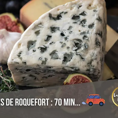 La Maison Bleue Suite- Lodge Et Duplex En Hyper-Centre De Rodez