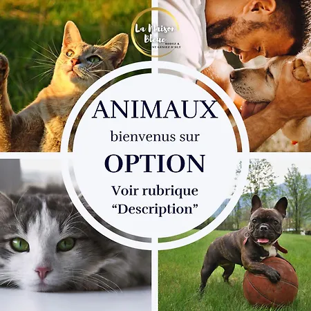 Lejlighed La Maison Bleue, *