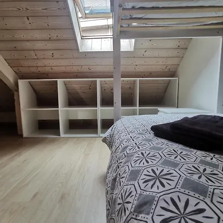 La Maison Bleue Suite- Lodge Et Duplex En Hyper-Centre De Rodez 아파트 로데즈